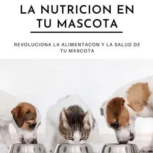 Curso el despertar de la nutrición en tu mascota